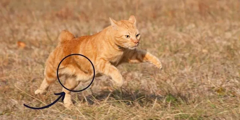 Jak radzić sobie ze zwisającym brzuchem po porodzie? Sprawdź nasze sprawdzone sposoby!