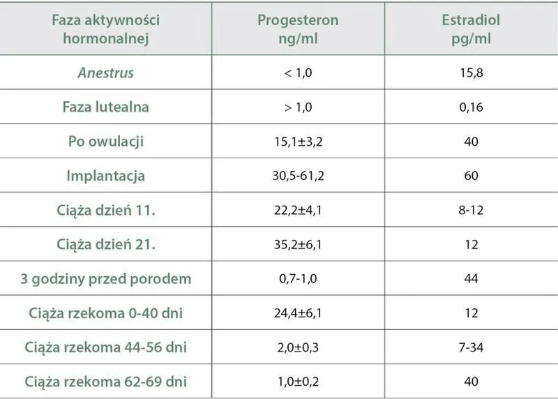 Jak wspierać naturalny poziom progesteronu w ciąży?