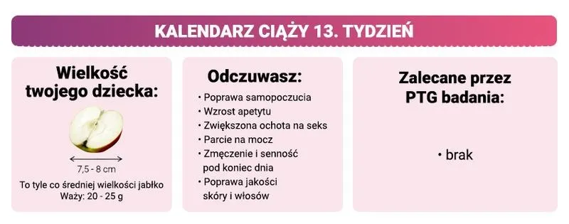 Jak zmienia się brzuch w 13 tygodniu ciąży? Zobacz, co warto wiedzieć!