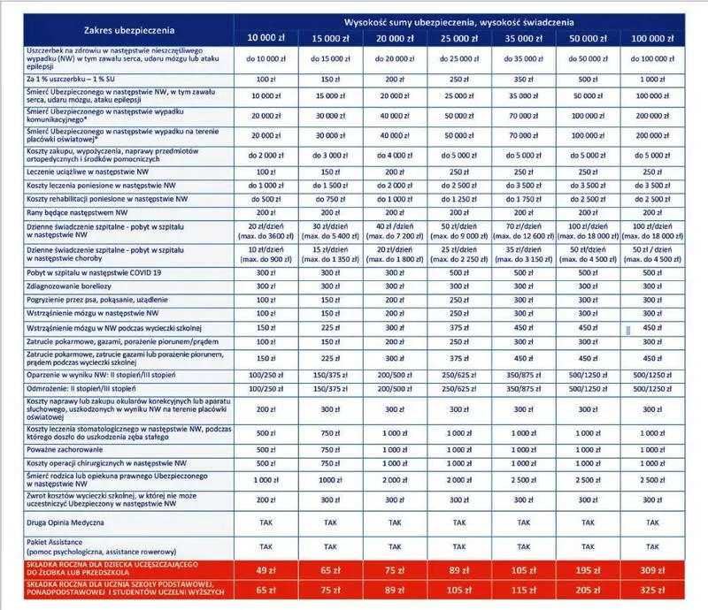 Jakie ubezpieczenie szkolne zapewnia bezpieczeństwo Twojemu dziecku?