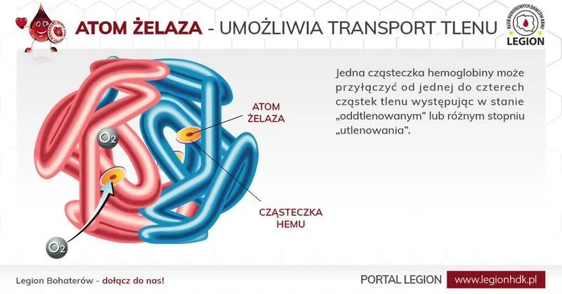 Skuteczne sposoby na podniesienie poziomu hemoglobiny w ciąży
