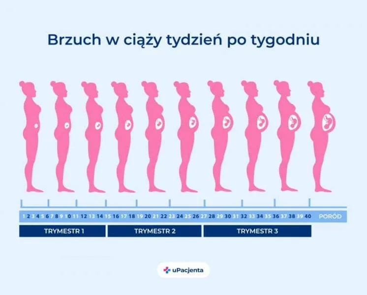 13 tydzień ciąży