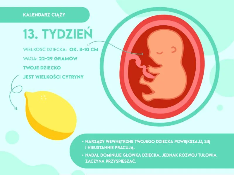 Brzuch w ciąży