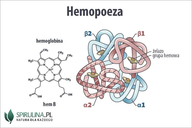 Domowe sposoby na hemoglobinę