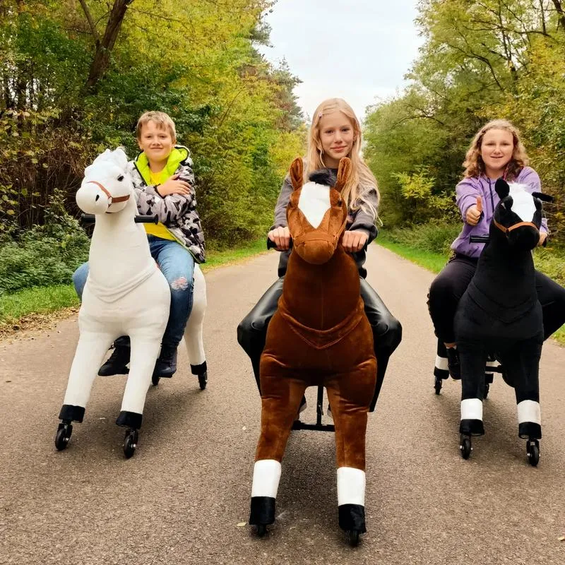 Edukacyjne zabawki konne