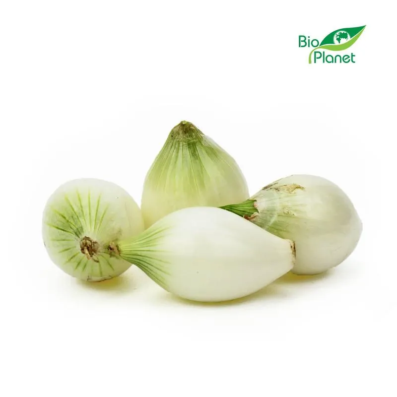 Jak wprowadzać cebulę do diety dziecka