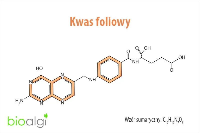 Kwas foliowy w ciąży