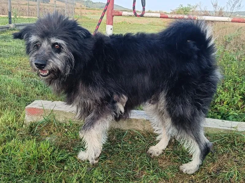 Magiczna przygoda dla dzieci