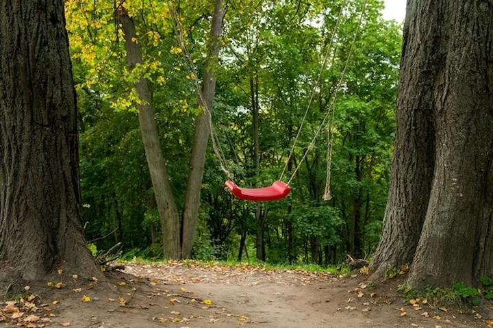 Montaż huśtawki między drzewami