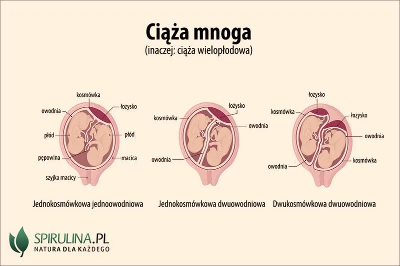 Naturalne metody na białko
