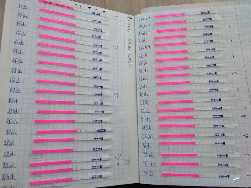 Planowanie ciąży i owulacja