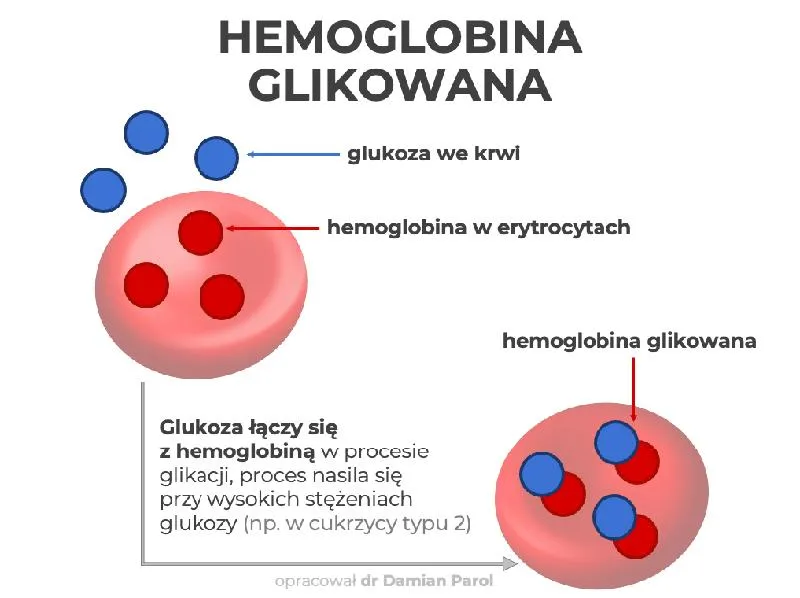 Podnoszenie poziomu hemoglobiny w ciąży
