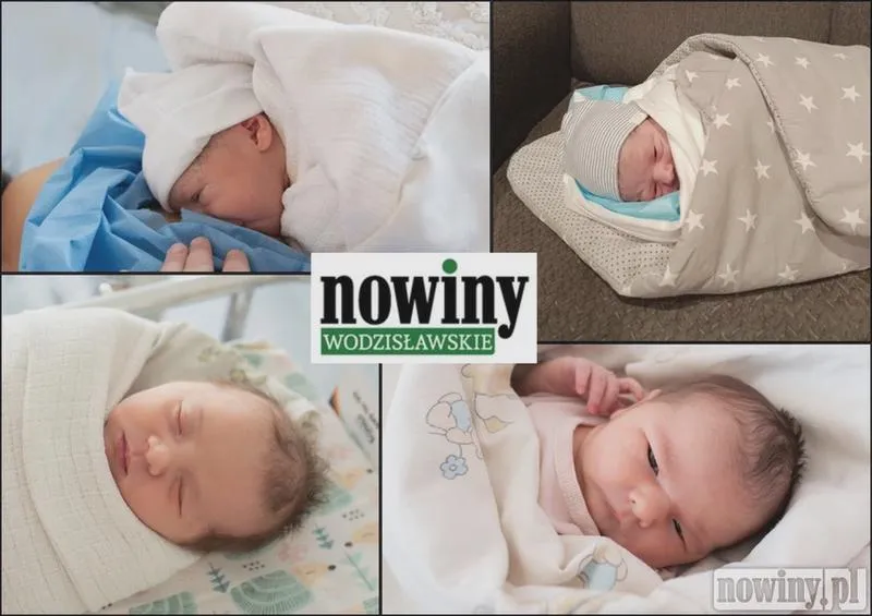 Profesjonalna sesja noworodkowa