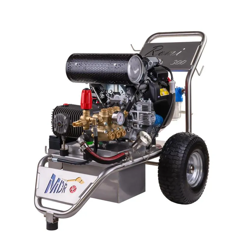 Program 300 plus dla przedszkolaków