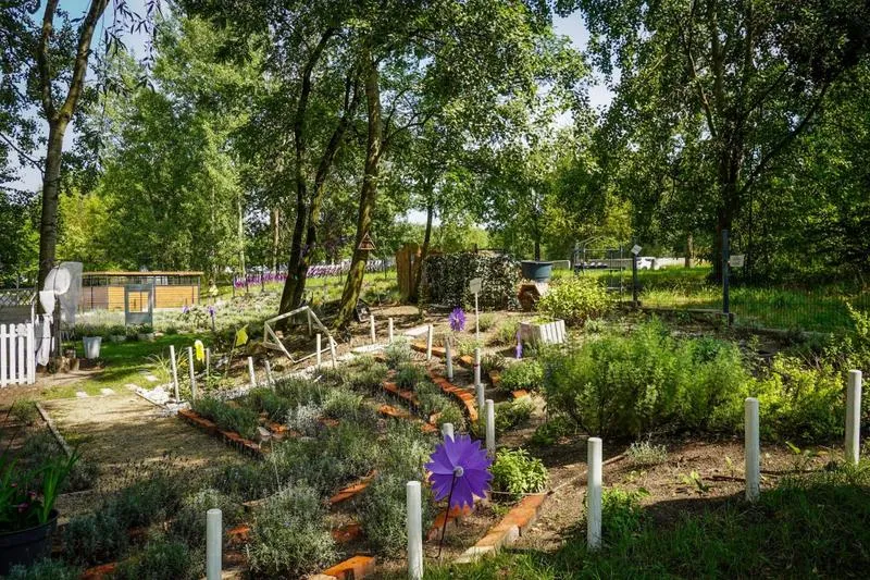 Projektowanie ogrodu sensorycznego