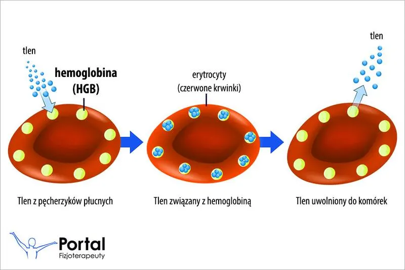 Przyczyny niskiego poziomu hemoglobiny