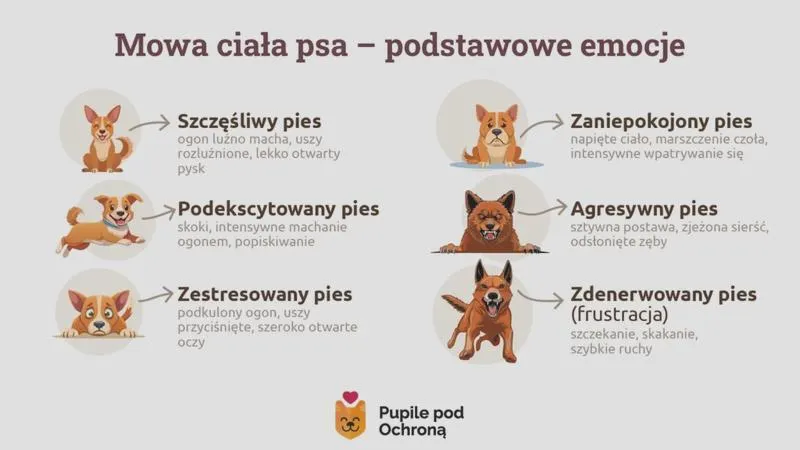 Rodzinny koszmar