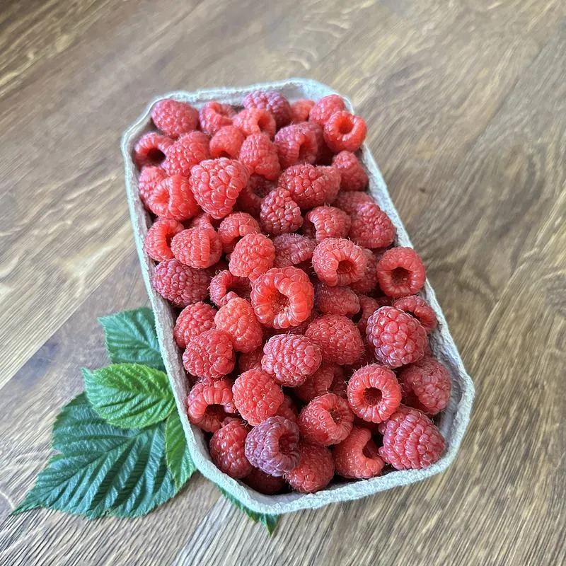 Rozszerzanie diety 7-miesięcznego dziecka