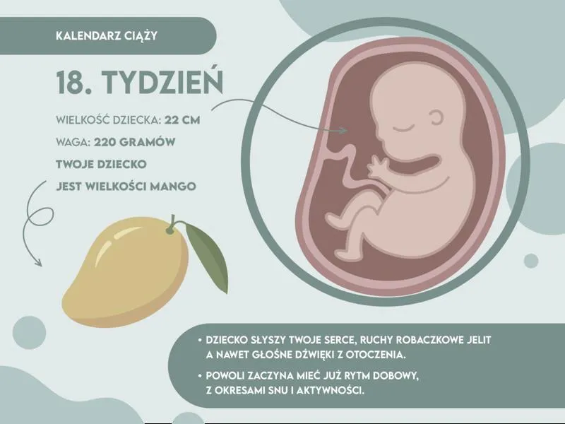 Rozwój dziecka w ciąży