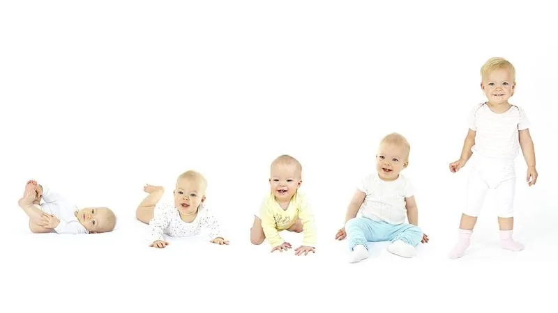 Rozwój prenatalny dziecka