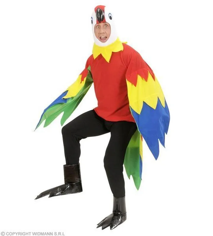 Szablony piór i ogona