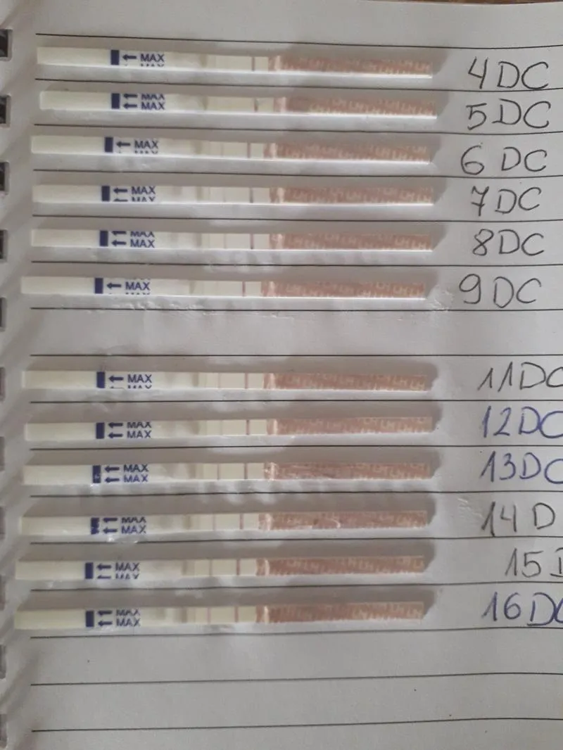 Testy owulacyjne a zajście w ciążę