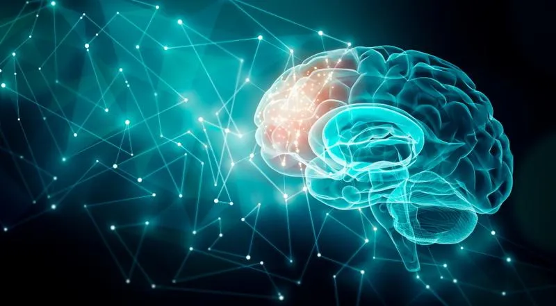 Witaminy z grupy B i witamina D