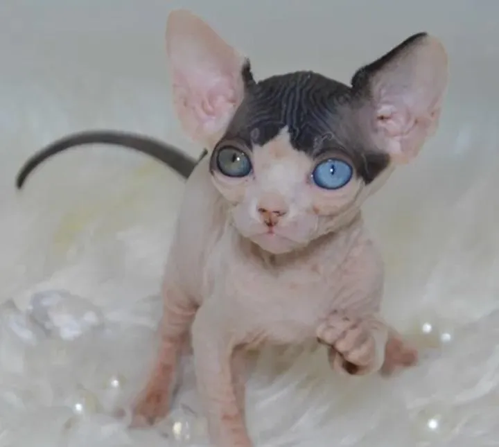 Zdrowa dieta po ciąży